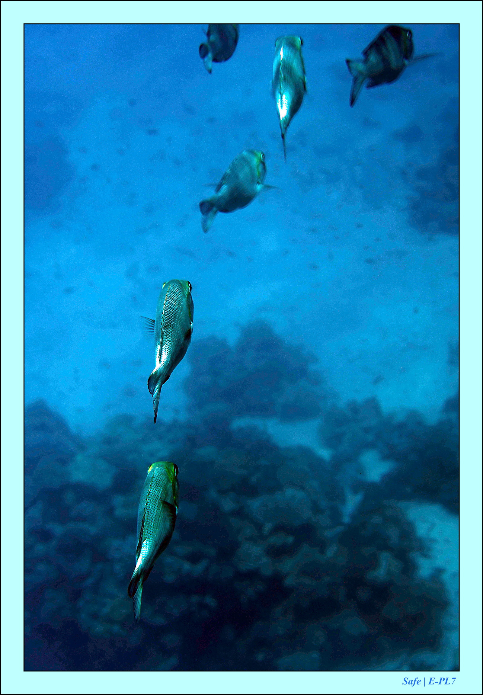 Hurghada - Aout 2021 - 014